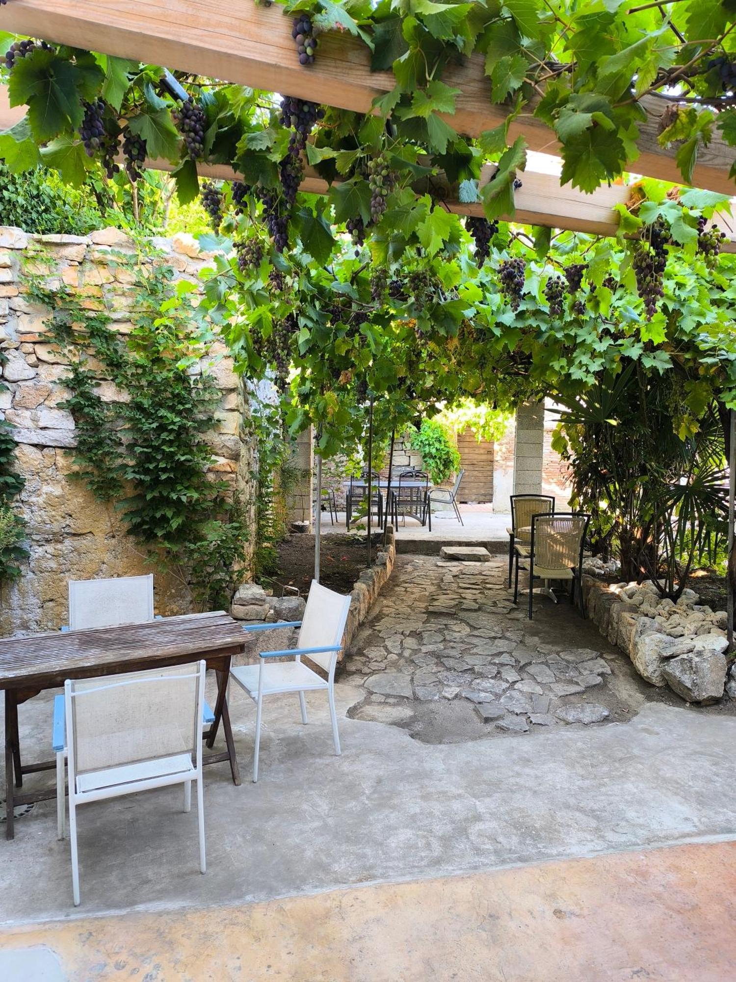 Casa Di Marko 105 M2 Garden Apartment Rovinj Exterior photo